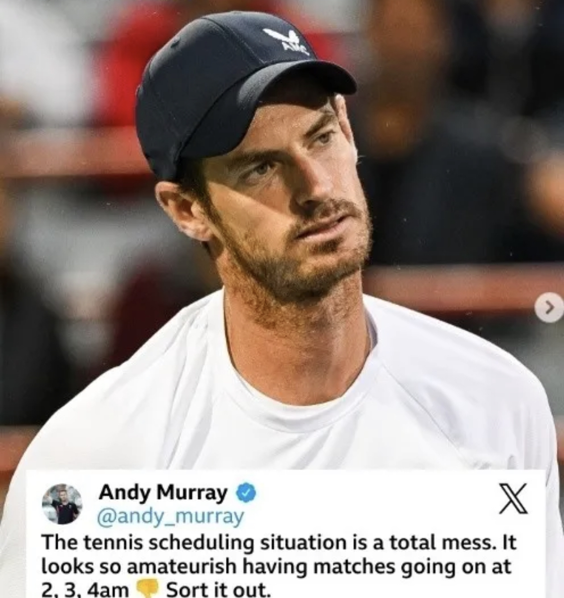 戴维斯杯横扫美网，穆雷扛起全队