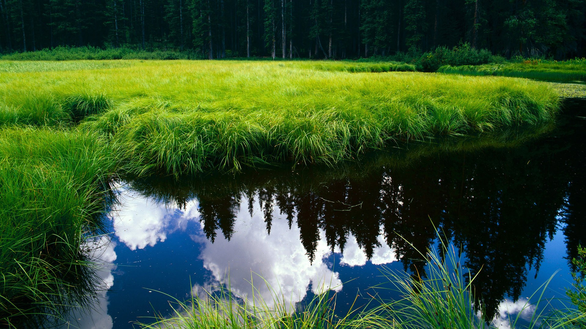 巴尔韦德关键战不手软，突尼斯横扫伊拉克展现实力